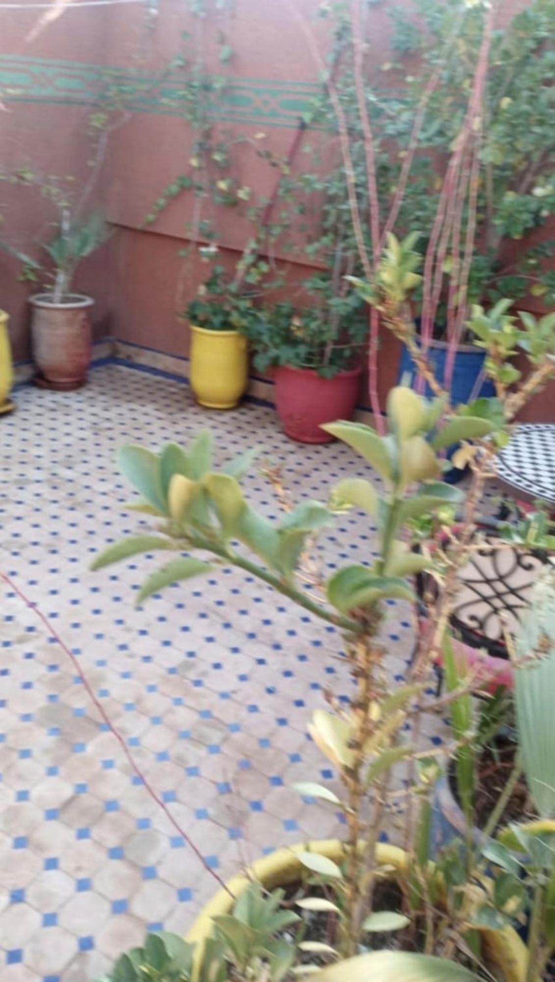 Charmant Riad Au Coeur De Marrakech Marrákes Kültér fotó